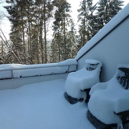 Appartement Terrassenhaus Winterberg Extérieur photo