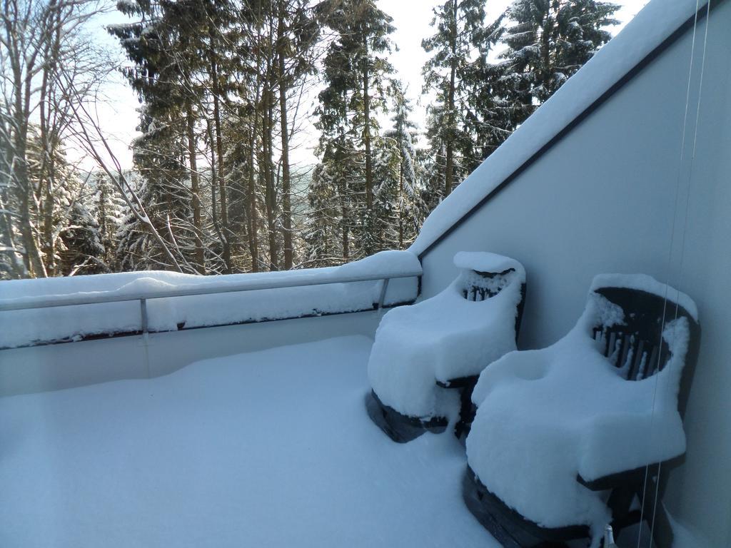 Appartement Terrassenhaus Winterberg Extérieur photo